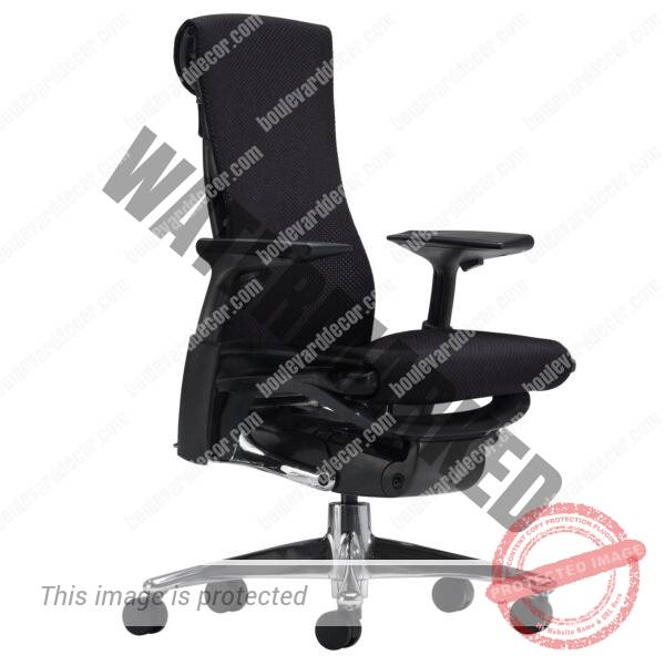 Embody Office Chair