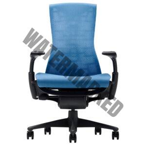 Embody Office Chair